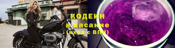 хмурый Абаза