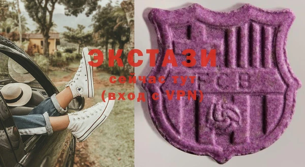 хмурый Абаза