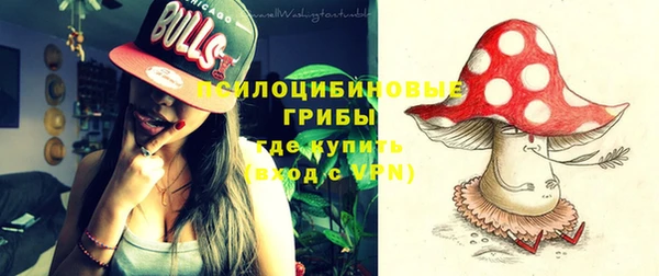 хмурый Абаза